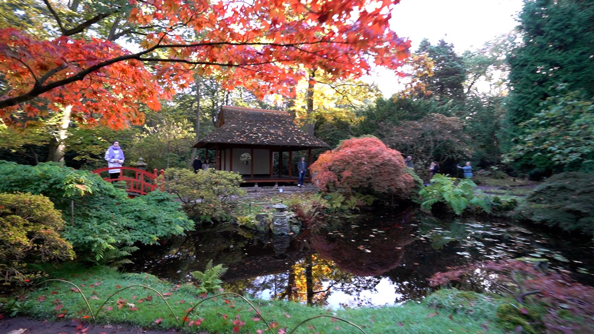 Japanse tuin Clingendael
