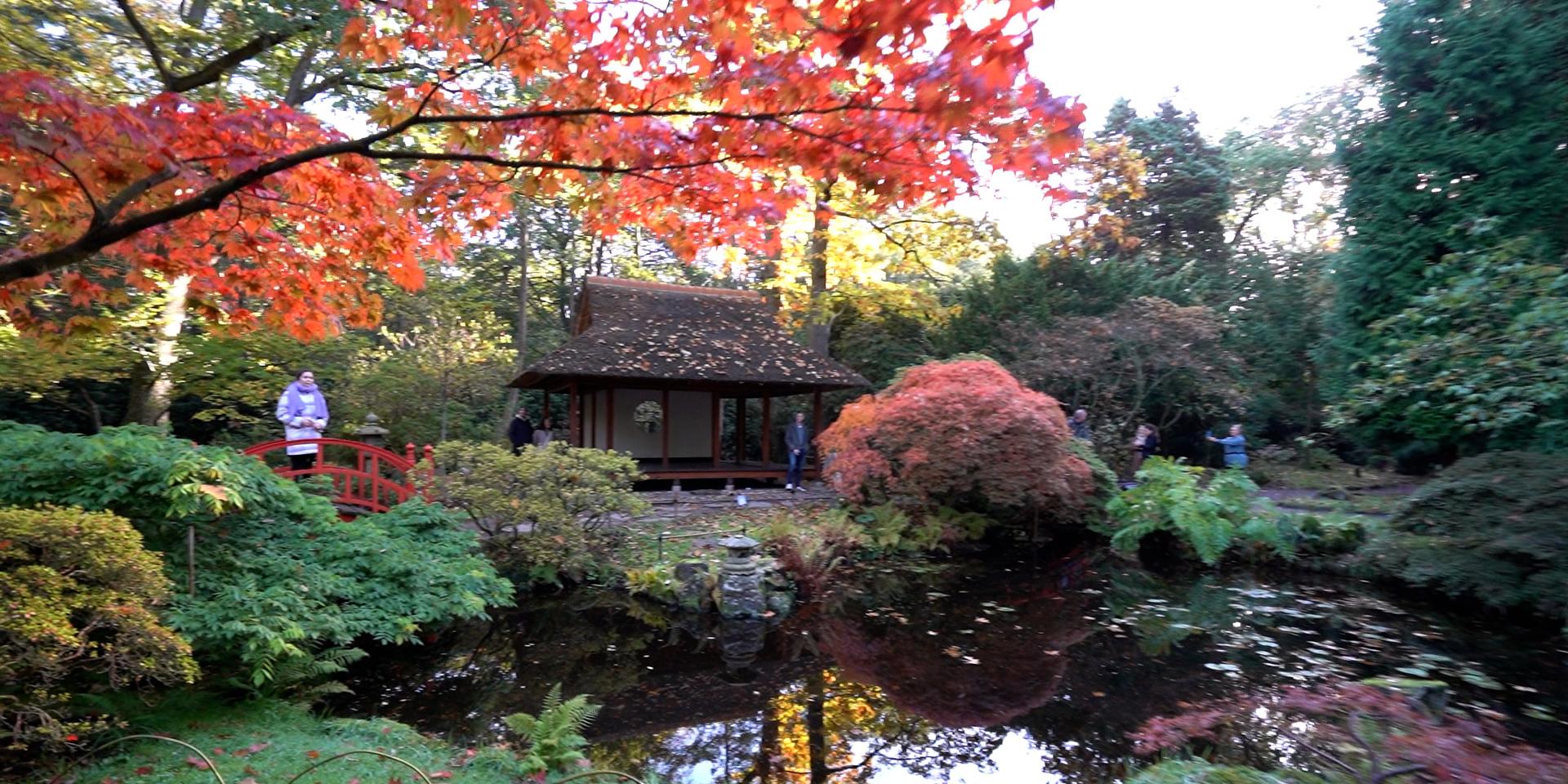 Japanse tuin Clingendael