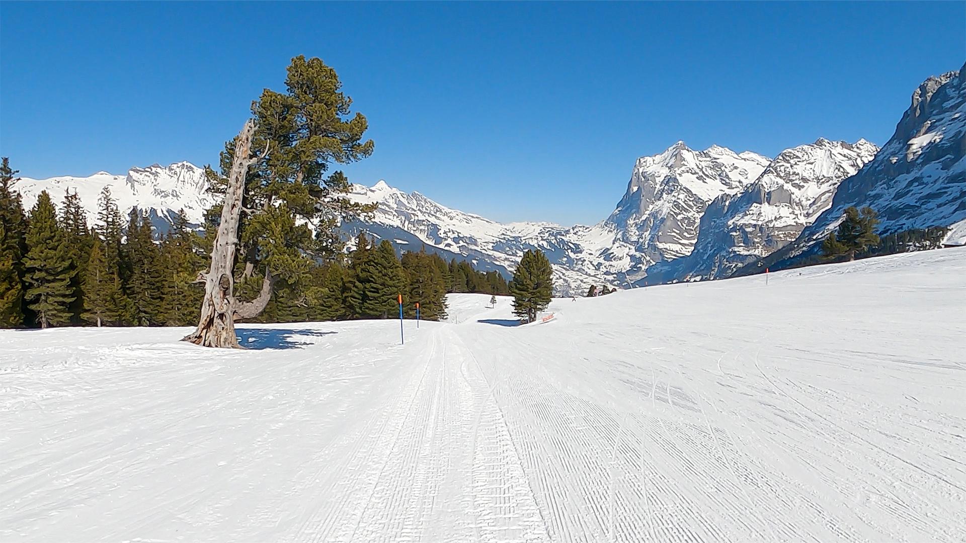 Brandegg ski-route - Grindelwald-Wengen