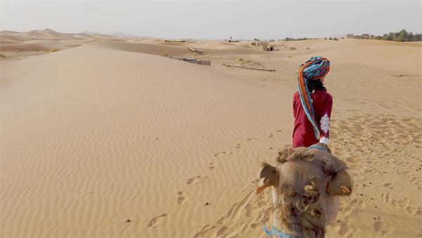 Sahara - Op een kameel
